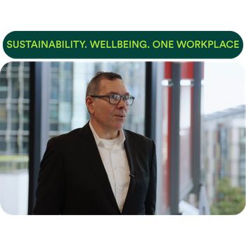 _295 x 221px - More than (350 x 350 px) (4).png