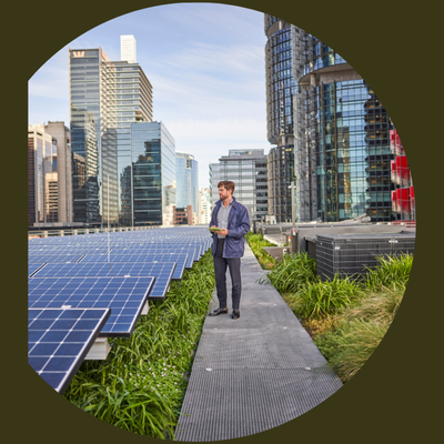 Barangaroo ITS_4.png