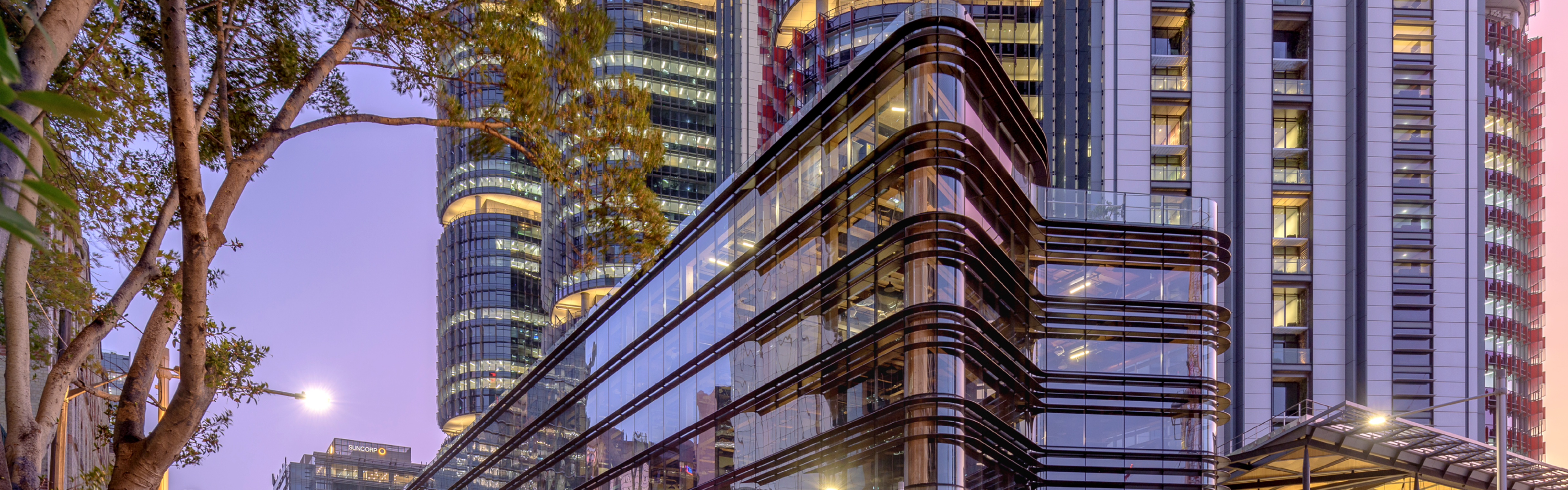 Untitled design (1).png