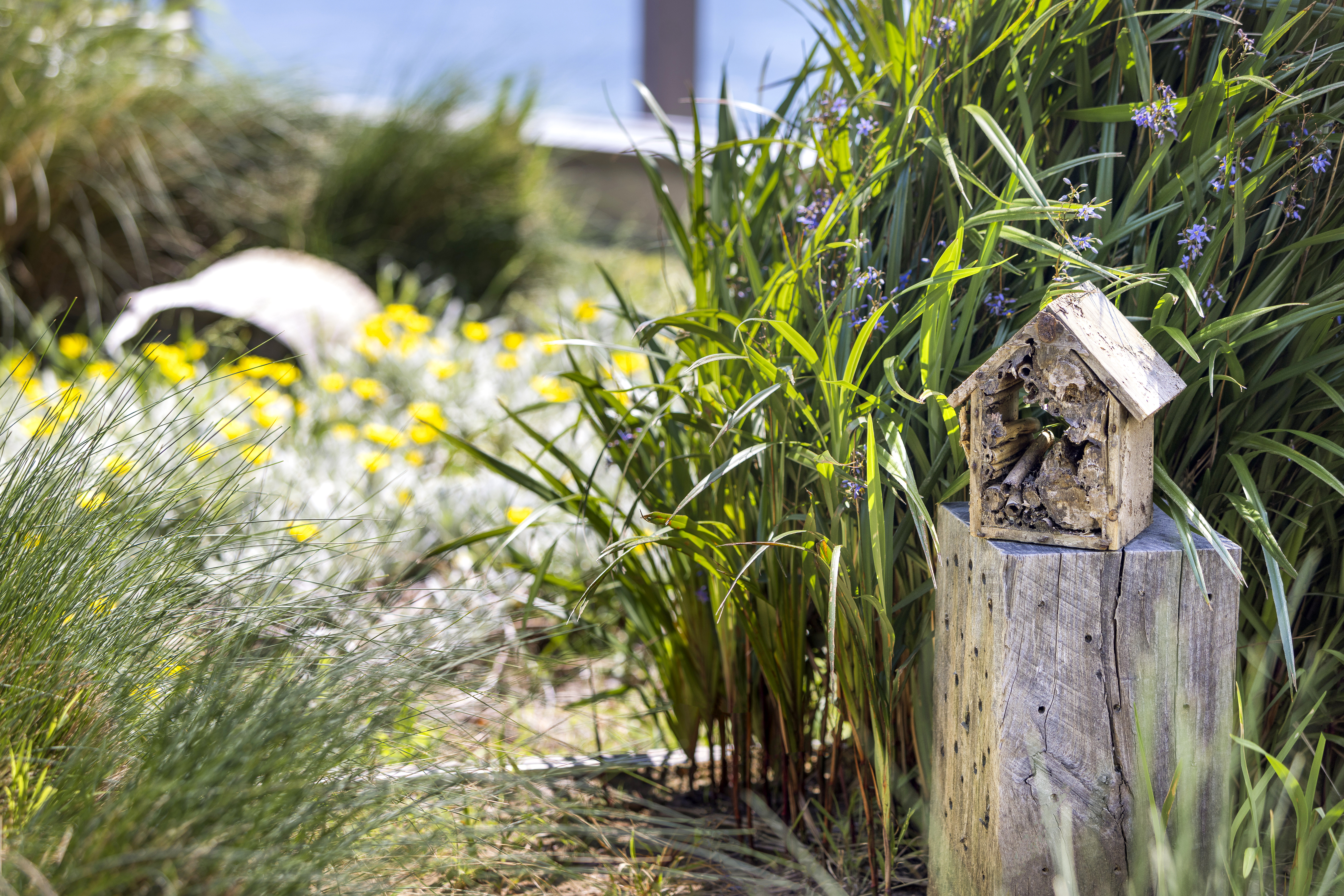 Daramu H Sustainability Bees 01 LG RGB.jpg